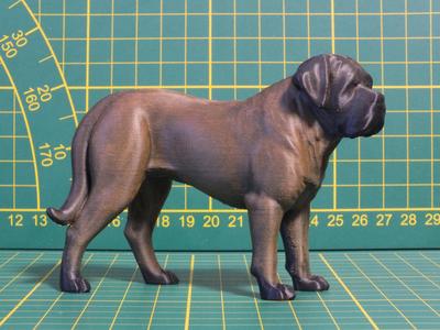 Bullmastiff-Cane Corso 70 mm