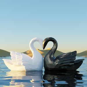Valentine nuzzling Swan Couple