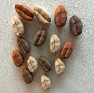 Coffee Bean Magnet