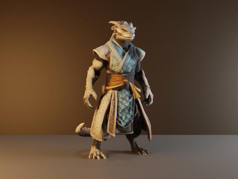 Dragonborn monk DND character for tabletop gaming