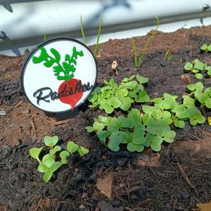 Garden signs: Radishes   