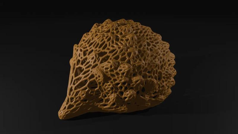 Hedgehog Voronoi   