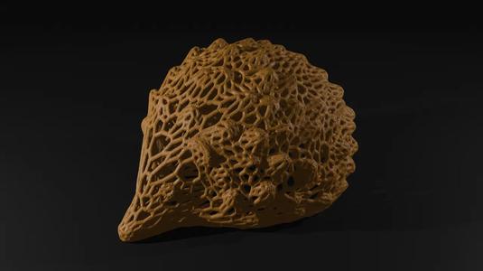 Hedgehog Voronoi   