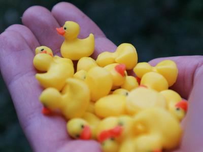 mini rubber ducks (multi-color)