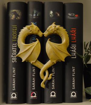 Dragon book nook