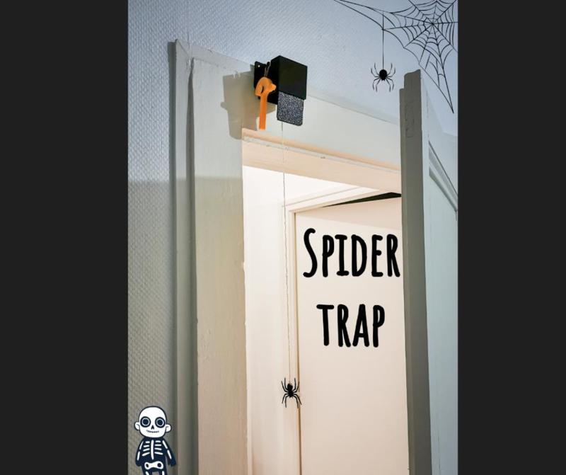 Spider trap for door 