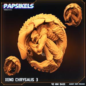 XENO CHRYSALIS