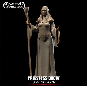 Drow Statue ( Decor Element)