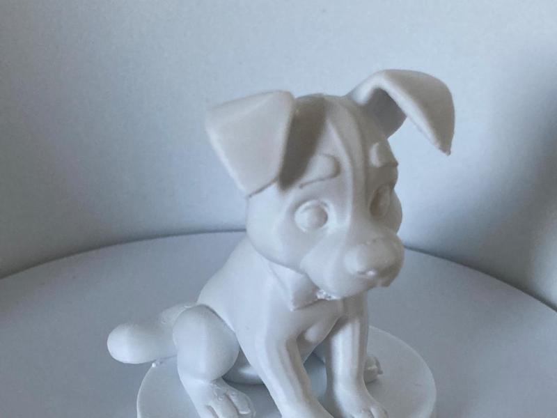 Sitting dog