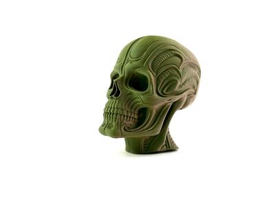 H.R. Giger style skull 