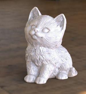 cat kitty