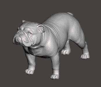 English Bulldog 3D Model