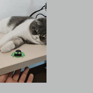 Cute magnetic spider