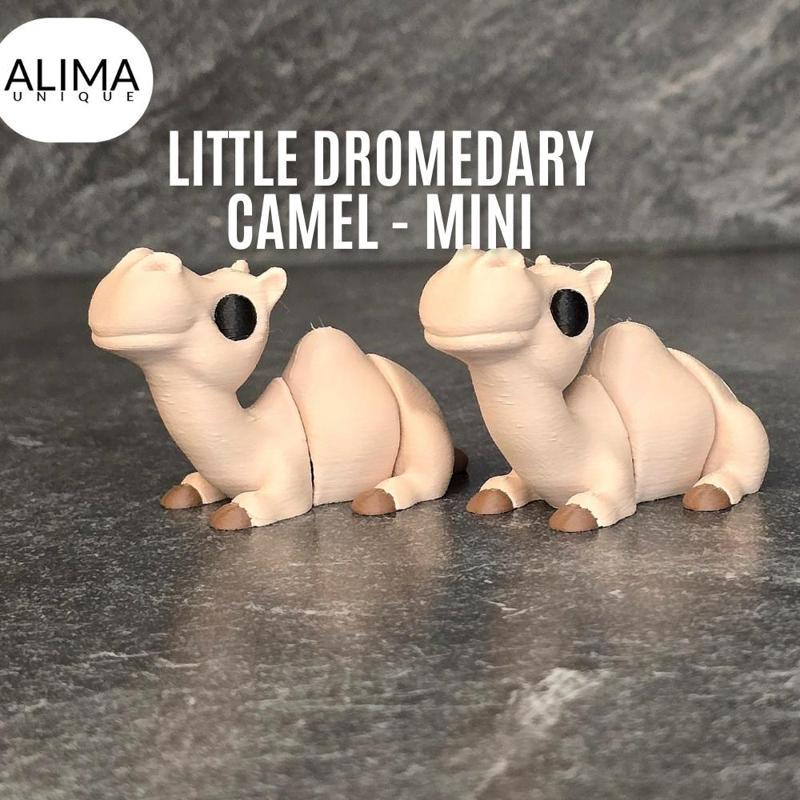 Little flexi dromedary camel