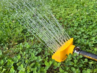 water sprinkler