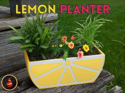 Lemon Planter