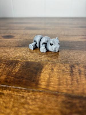 Baby Hippo