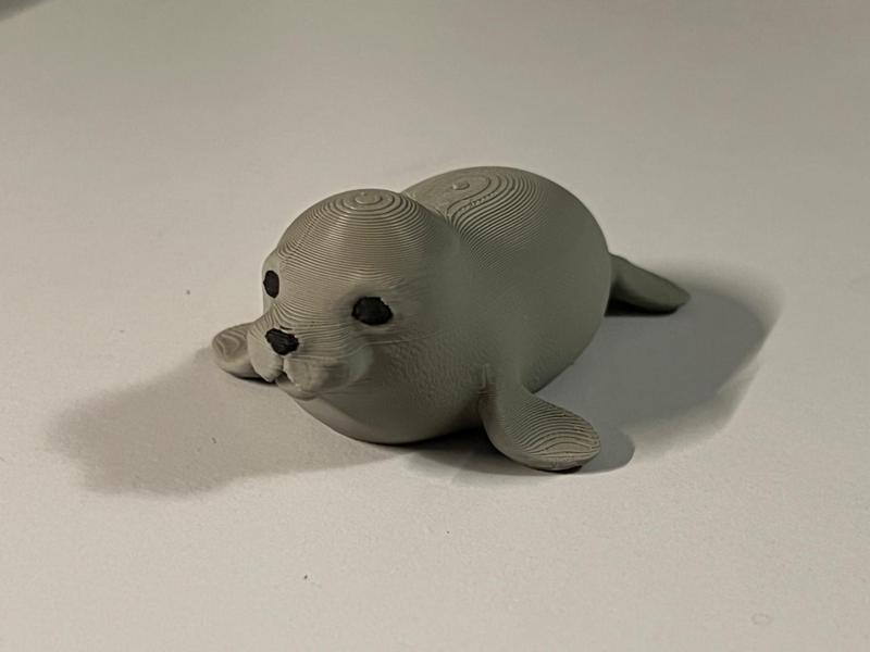 Cute little Seal Pup