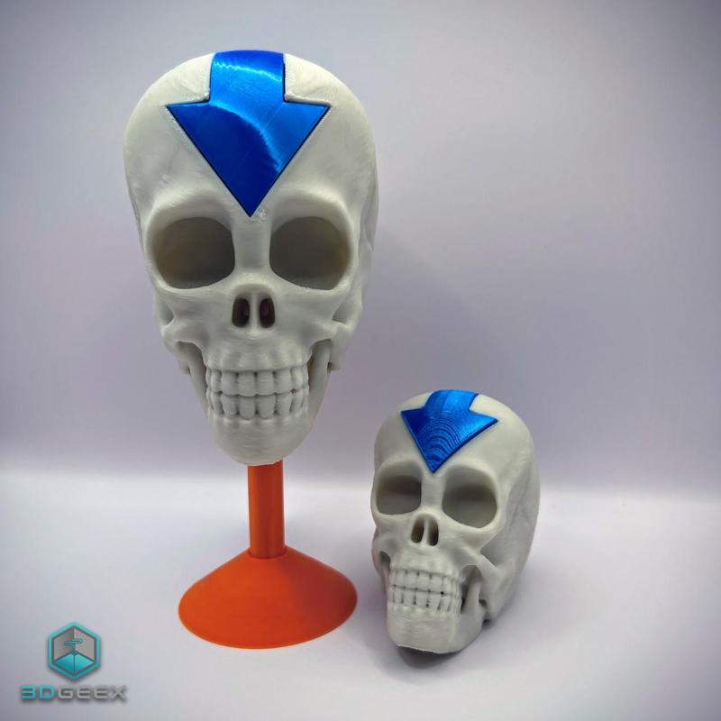Avatar: The Last Airbender Skull