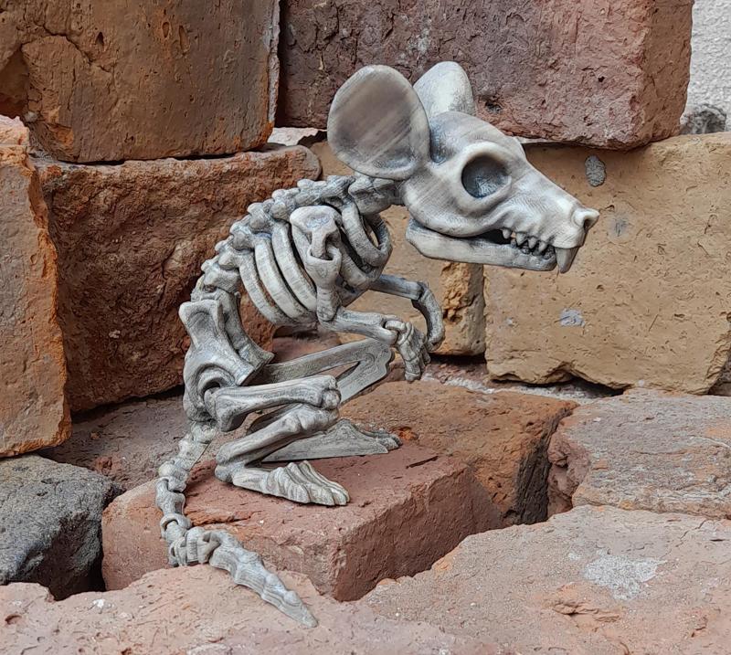 LEONARDZ3D - FLEXI PRINT-IN- PLACE SKELETON RAT - HALLOWEEN