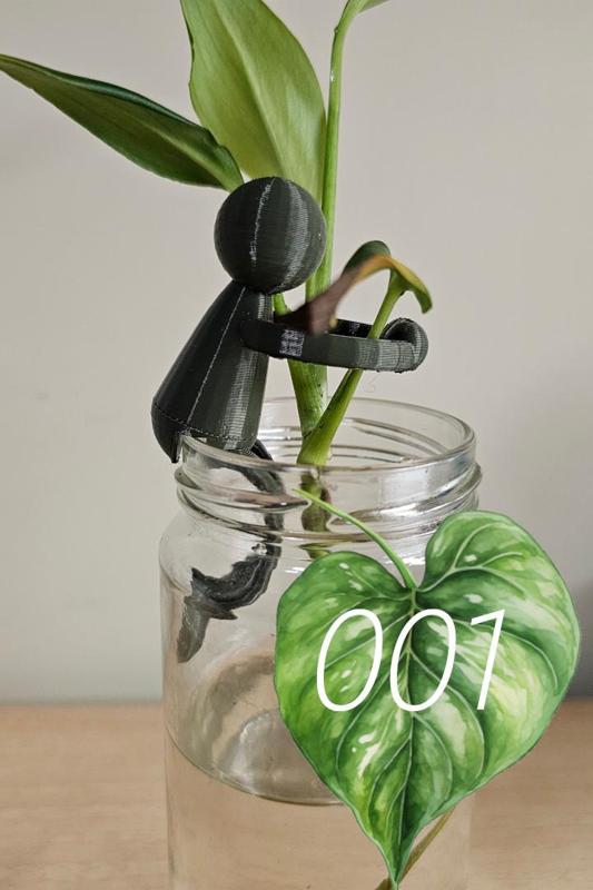 Stem, your Propagation Assistant (001)