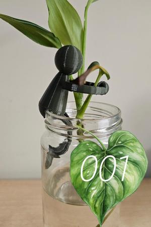 Stem, your Propagation Assistant (001)