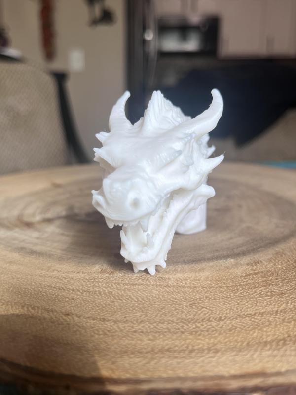 Dragon Head