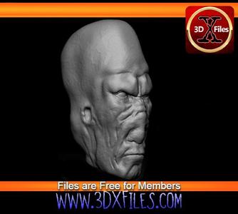 Star wars 1:6 Scale Head Sculpt - 1/6th Munn Alien - Black Series - Hottoys - 1:12 and 1:6 Scale- Ac