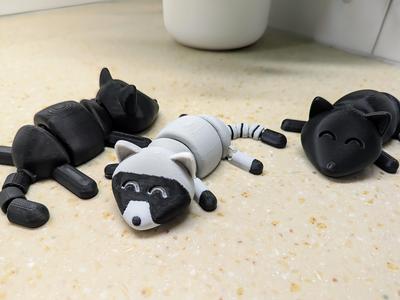 Cute Articulated Racoons