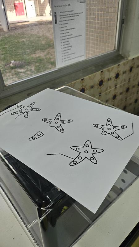 Tactile image: asexual reproduction (regeneration)