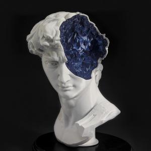 What's in David's Mind?