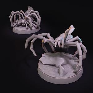 Spider
