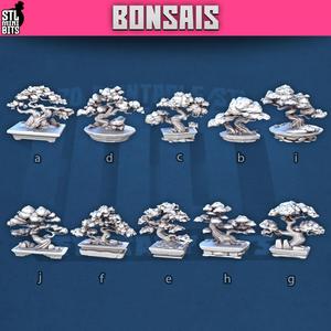 1001 - Bonsai