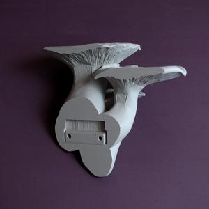 Mushroom shelf “Pleurotus Eryngii"
