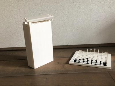 Travel Chess Set With Case!