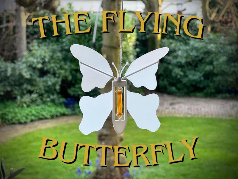 Flying Butterfly