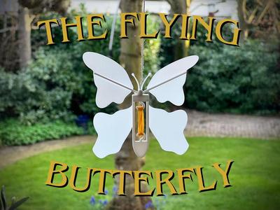 Flying Butterfly
