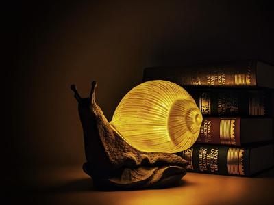 Snail lamp