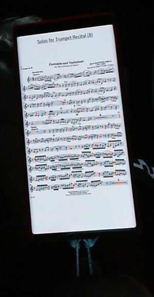 Lyre_Case_Addapter