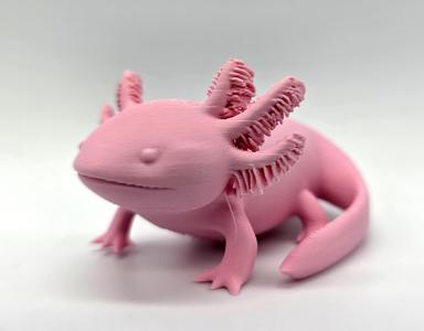 Axolotl #2