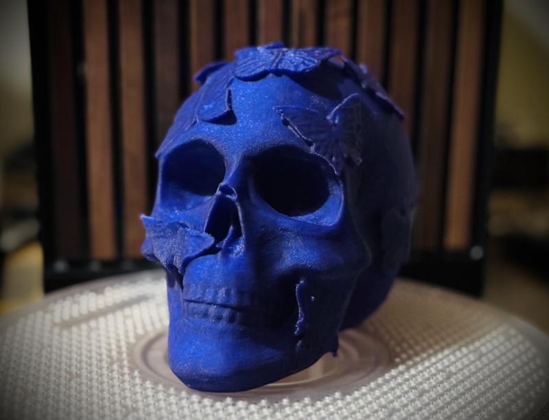 Butterfly Skull