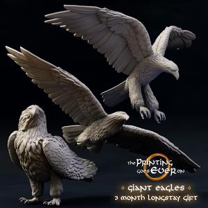 Giant Eagles - 3 Month Longstay Gift