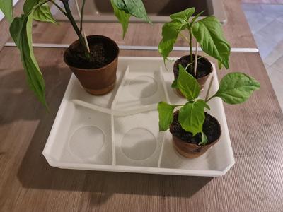 6-Compartment Seed Tray Stand / grow pots