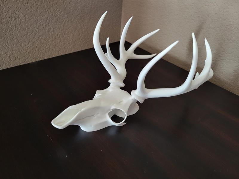 Deer Skull Wall Decoration
