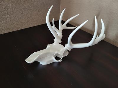 Deer Skull Wall Decoration