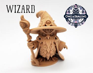 The Wizard - Owls & Dragons