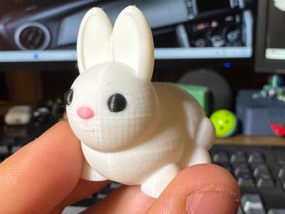 Articulated Bunny - Free License