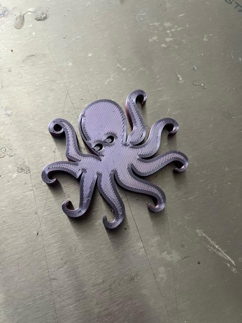 Octopus 2D Keychain