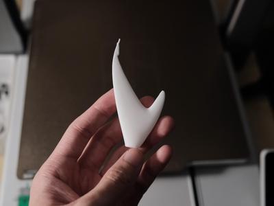 Tiger Shark Tail