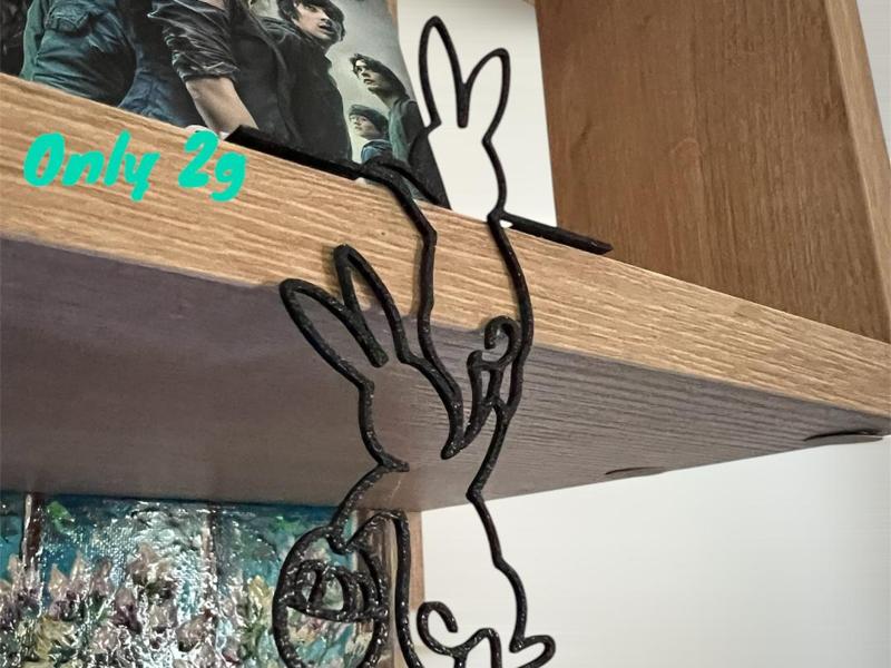 An Hanging Bunny Duo 